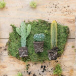 Terénní úpravy ja výstavba