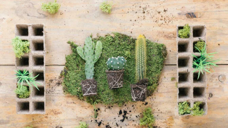 Terénní úpravy ja výstavba