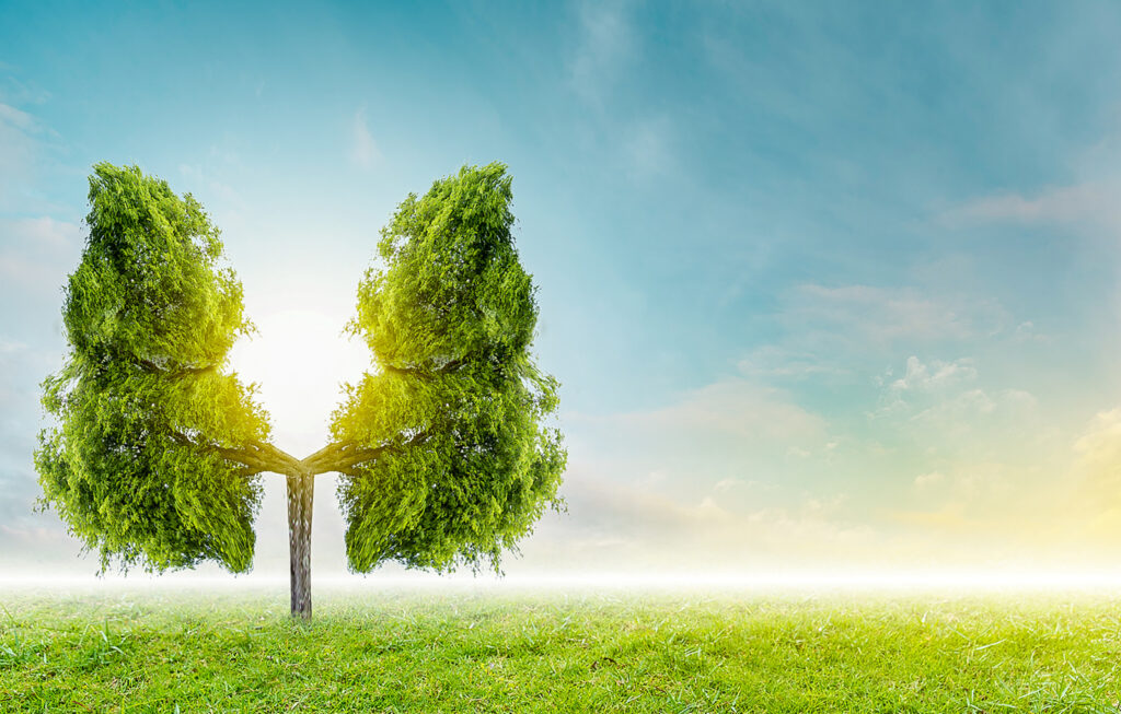 Zehnder čistý vzduch 