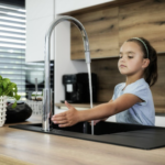 Česká hybridní baterie SANELA